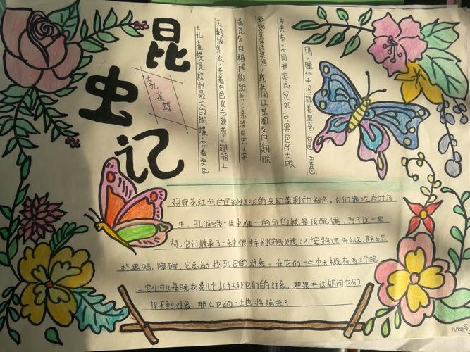 拒绝肥胖简单手抄报