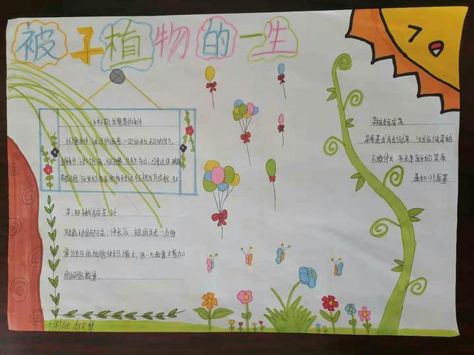 水	浒传手抄报图片视频